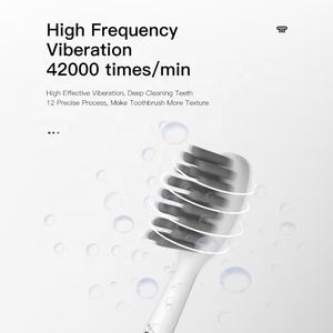 Persönliche Tägliche Reinigung Schallzahnbürste für Erwachsene - 1500 mAh Akku, 120 Tage Laufzeit, 4 Reinigungsmodi, Typ-C Tragbar - Product Image 3