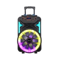 Altavoz Boombox para fiesta privada, altavoz BT portátil de ritmo festivo, sistema de fiesta multifuncional de 12 pulgadas, batería de plástico con