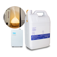 Échantillon Gratuit Huile Essentielle en Gros pour Diffuseur, Huile Parfumée Concentrée de Luxe en Promotion pour Diffuseur d'Arômes
