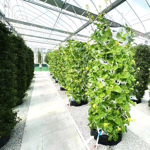 Plantes aquatiques hydroponiques Système hydroponique complet - Product Image 4