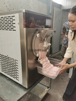Yourtime 32L/H 5 programmes, machine à glace artisanale et yaourt glacé, certifiée ETL CE, automatique, pour gelato italien et helado