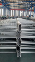 Échelle à câbles galvanisée à chaud à double rail latéral, anti-corrosion, pour l'ingénierie électrique extérieure