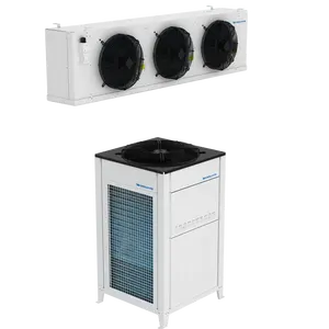 20ft 40ft 60ft unità di condensazione cella frigorifera produttore Walk in Freezer unità di refrigerazione unità di refrigerazione Chiller