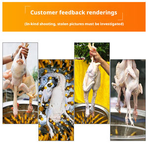 HELAXEN TM-HL Commerciële Plukmachine voor Pluimvee, Handmatige Reiniging, 1500W, 220-240V, voor het verwijderen van veren van kip/eend/gans - Product Image 2