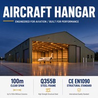 Hangar para Jets Comerciales, Estructura de Acero, Hangar para Aviones Privados, Almacenamiento, Instalación Aeroportuaria, Sin Columnas