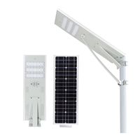 Lampadaire solaire moderne tout-en-un à panneau unique LiFePO4 3030 LED 150W avec corps en aluminium et détection de mouvement pour allée