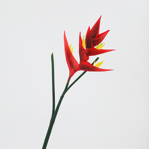 Vente en gros d'<span class=keywords><strong>orchid</strong></span>ées artificielles faites à la main, au toucher doux, en caoutchouc, pour arrangements de table pour la Saint-Valentin, Noël, les mariages et les festivals - Product Image 2