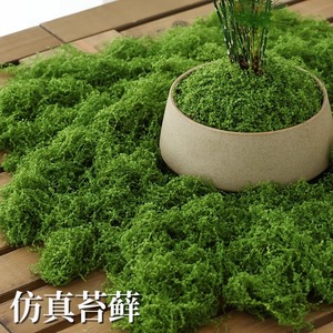 Musgo Artificial Timo de 10 cm o Menos, Flores de Nailon para Decoración de Micropaisajes - Product Image 5