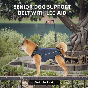 Arnés de Soporte Completo para Perros, Traje de Recuperación Postquirúrgica para Mascotas (Macho y Hembra), Asistencia Ajustable para Caminar, ¡En Stock al por Mayor! - Product Image 2