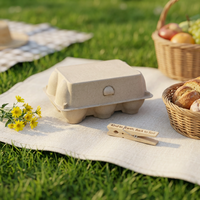 Échantillon Gratuit : Boîte à 10 Œufs en Pulpe de Kraft Recyclée, Végétale et Jaune, Idéale pour la Boulangerie