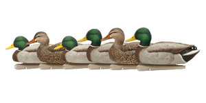 Forza fabbrica personalizzato anatra esca autenticamente replicare il comportamento naturale esca anatra - Product Image 2