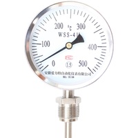 Termómetro bimetálico universal Controlador de temperatura industrial para tubería de caldera Medición de 0-600 grados Sensor de temperatura