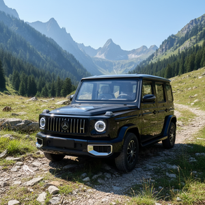 Nouveau modèle de voiture électrique tout-terrain, véhicule à énergie nouvelle, SUV 5 portes 5 places 100% électrique, batterie lithium, voitures électriques - Product Image 2