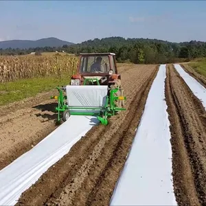 LDPE Lage Prijs Zwart plastic mulchen agrarische Film voor tomaat