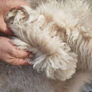 Peau de mouton/agneau en cuir véritable de qualité supérieure pour canapé en fourrure, fauteuil, matériaux de mobilier, fourrure naturelle bouclée 5-8CM, fourrure animale - Product Image 1