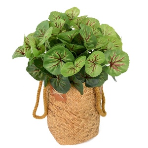 Foglie <span class=keywords><strong>Artificiali</strong></span> <span class=keywords><strong>Realistiche</strong></span> al Tatto, Pianta Artificiale di Begonia per Decorazioni Paesaggistiche - Product Image 1