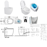 WC suspendu Terra Bowl, toilettes suspendues, produits de salle de bain CE ISO, articles sanitaires en céramique pour la décoration d'hôtels et de maisons