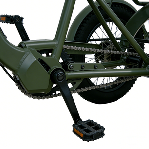 Triciclo Elettrico Domestico a Doppio Uso con Pneumatici Larghi, <span class=keywords><strong>Bicicletta</strong></span> da Carico a Tre Ruote, Batteria al Litio 250W 36V, Freno a Disco, Cesto Grande - Product Image 5