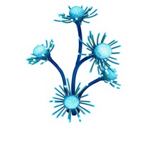 LED Exotische Chrysanthemen-Baumbeleuchtung IP65 Regenfest Feiertagsdekoration Außenbeleuchtung mit Mehrfarboptionen