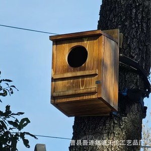 Nichoir en bois transfrontalier pour oiseaux, mangeoire extérieure suspendue pour colibris, nichoir pour hiboux avec fenêtre, maison pour oiseaux - Product Image 3