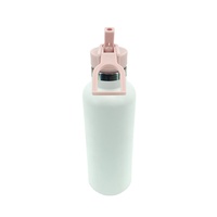 Bouteille d'eau portable en acier inoxydable 650 ml (22 oz) isolée sous vide avec couvercle à paille rabattable – Design breveté
