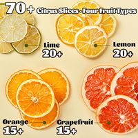 70+ Gemengde Gedroogde Citrus Schijfjes, 4 Soorten Gedroogde Citrusvruchten waaronder Gedroogde Sinaasappel, Citroen, Lime & Grapefruit voor Cocktails en Thee