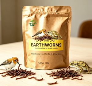 Suplemento alimenticio al por mayor, suplemento alimenticio natural de gafanhotos secos, alimento para mascotas, comida nutritiva para aves y reptiles - Product Image 5