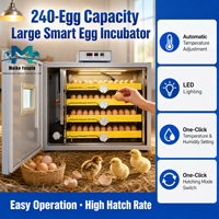 Incubateur entièrement automatique pour 240 œufs avec double alimentation et rotation à 360° en acier inoxydable 24 kg pour l'élevage de volailles OEM/ODM