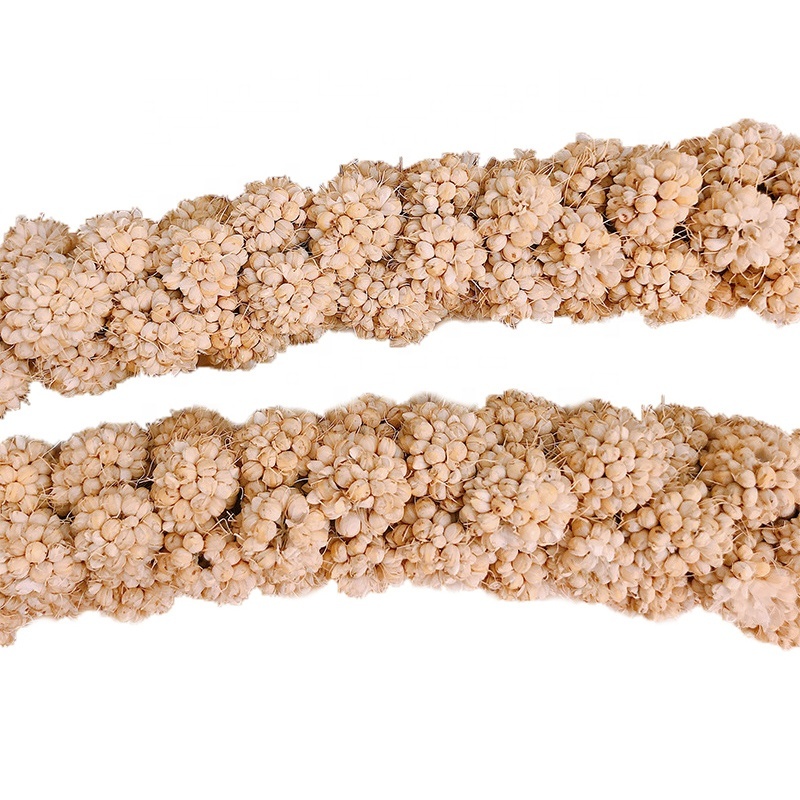 Rabbit Molar Timothy Grass Cake Nutritionally