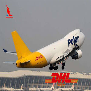 Экспресс-доставка <span class=keywords><strong>DHL</strong></span> из Китая в Николагуа быстрый и эффективный агент доставки - Product Image 2