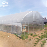 Serre agricole à voûte unique pour la culture des légumes, serre commerciale