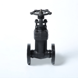 Vanne de blocage à double bride en acier moulé forgé ANSI Classe 150 DN50 pour l'air et l'eau PN10 PN16 - Product Image 5