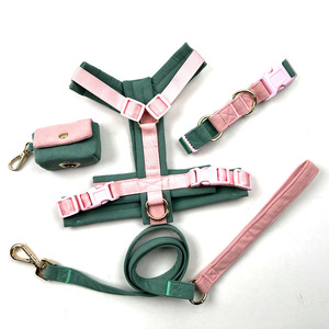 Conjunto de arnés de lujo <span class=keywords><strong>para</strong></span> <span class=keywords><strong>perros</strong></span> de gama alta 2025, pana de moda, microetiqueta personalizada, colores, cuerda de perro de dibujos animados, bolsa <span class=keywords><strong>para</strong></span> caca, bufanda triangular - Product Image 2