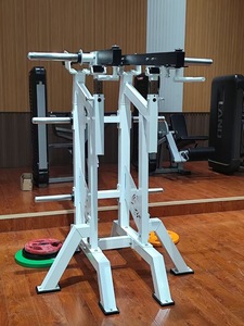 Land Fitness Equipment Manufacturer Machine <span class=keywords><strong>de</strong></span> presse à épaules Viking debout à séparation en gros AS-115 - Product Image 4