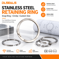 DLSEALS Stainless Steel Snap Ring Circlip Custom Non-Standard Precision for Shaft Bore Groove Industrial Assembly OEM Bulk