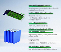 Batterie au lithium rechargeable sans entretien 12,8 V 50 Ah 60 Ah 65 Ah LiFePO4 pour systèmes d'alimentation électrique solaire