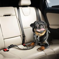 Cinturón de seguridad para perros con amortiguador elástico, accesorios de viaje para coche para perros y gatos, cinturón de seguridad ajustable retráctil para mascotas