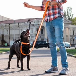 Wholesale New Product Lighting Walking Night Glowing USB Rechargeable LED <b>Dog</b> Leash - Product Image 3
