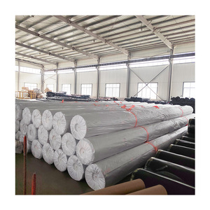 Geomembrane HDPE lót dam lót thiết kế hiện đại mịn màng Kết cấu bề mặt geomembrane cho bãi rác ISO 9001 lên đến 8m CuộN KHAI THÁC MỎ - Product Image 2