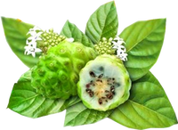 Jus de Noni fermenté naturellement de 8 à 12 semaines, origine zone volcanique de Hainan, boisson légère bien-être enrichie en plus de 200 nutriments actifs