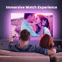 2.0 SYCN avec rétro-éclairage TV Led Immersive RGBIC Ambient Wifi Fancy Sycn Box