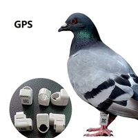 Anneau de suivi électronique pigeon anneaux avec gps pour oiseaux gps para loros mini gps tracker pour oiseaux