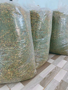 Origen de Vietnam Flores de papaya secas masculinas de la mejor calidad/hierbas de papaya de Vietnam para exportar // + 84 767 550 132 Hani - Product Image 6