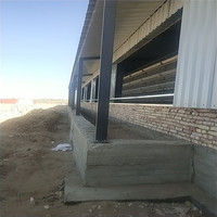 Granja de pollos estilo granja y casa de aves de corral Diseño de estructura de acero económico para pollos de engorde y capa