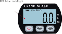 Balance numérique électronique industrielle portable robuste à suspendre 300 kg/100 g avec crochet en acier inoxydable et écran LCD