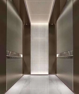 Pannello di parete della <span class=keywords><strong>resina</strong></span> per la decorazione del fondo della parete e la parete interna della decorazione dell'elevatore per l'hotel e la casa - Product Image 2