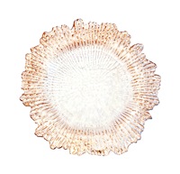 Restaurant Événement Décoration de Mariage Assiettes Chargeur Plastique Argenté Vente en Gros Prix Pas Cher Nouveau Dîner Or Rose Noir CLASSIC