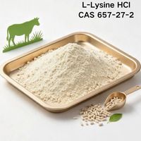 Youjian Vente en Gros L-Lysine HCl Chlorhydrate de L-Lysine CAS 657-27-2 Acide Aminé pour la Nutrition de la Volaille, des Porcs et du Bétail