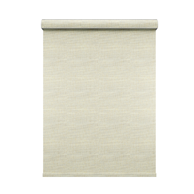 Customized Modern Blinds Double Layer Roller Blinds Window Shades and Blinds