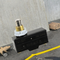 Micro-interrupteur de fin de course électrique de haute qualité, matériau métallique, 250VAC 10A, application industrielle, interrupteur de fin de course tactile